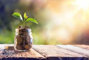 change jar with plant growing