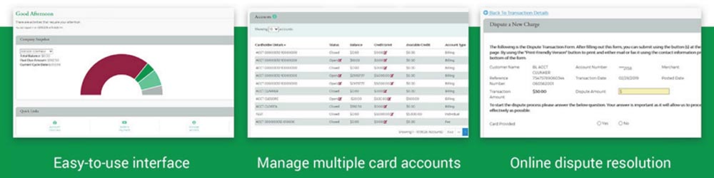 Ezbusiness 1st national bank easy-to-use interface manage multiple card accounts online dispute resolution